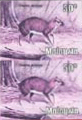 postlynx errors stamps  